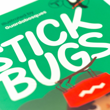 Stick Bugs